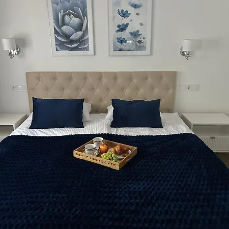 A Top-floor Modern Located 100 Meters From The *